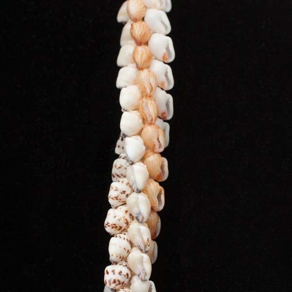 4-Tie Momi Poe Poe Ni'ihau Shell Lei